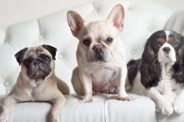 开云体育在线-绝杀之夜，体育场上的永恒瞬间