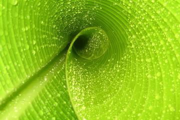 开云体育官网-佛罗伦萨轻取里昂，基耶萨如F1车手般在街道赛式比赛中接管全场