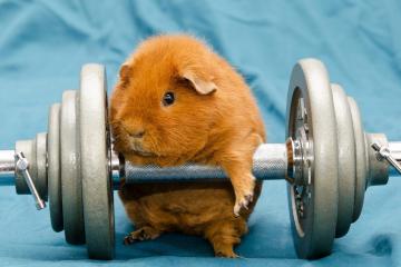 开云体育平台APP-克莱数据全面爆炸，广东队狂胜篮网演绎团队篮球美学