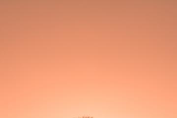 开云APP-抢七之夜的终结者，小贾伦·杰克逊让比赛悬念提前落幕