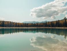 开云体育下载-终局接管者，西亚卡姆亲手打碎黄蜂主场奇迹，太阳扼住命运咽喉