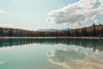 开云体育下载-终局接管者，西亚卡姆亲手打碎黄蜂主场奇迹，太阳扼住命运咽喉