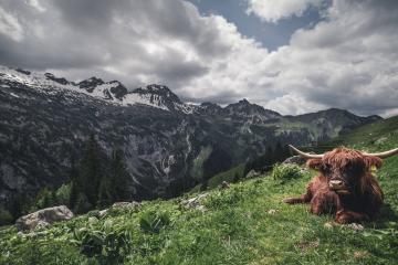 开云体育官网-武切维奇砍生涯新高52分，篮网加时险胜马刺