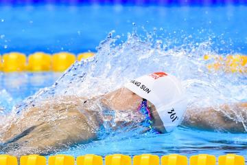 开云体育官方网站-文班亚马，攻防转换的核心，森林狼与掘金的战术迷宫