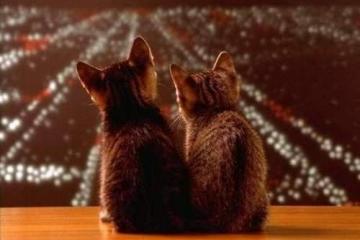 开云体育APP下载-马刺对阵步行者，福克斯彻底打爆防线，率队上演进攻狂潮