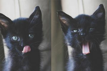 开云官网-京多安一锤定音，巴塞罗那德比夜奏凯歌