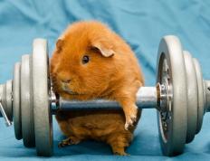 开云官网-英格拉姆燃爆全场，爵士篮网上演巅峰对决