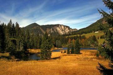 开云体育平台APP-关键先生降临！乔治致命一击助篮网加时苦战掀翻尼克斯