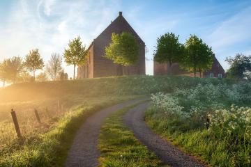 开云下载-哈登隔空连线上海滩？当大胡子灵魂附体，绝境加时击退浙江