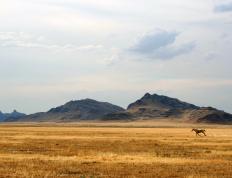 开云APP-一锤定音！英格拉姆大场面先生本色出演，湖人斩奇才展冠军相