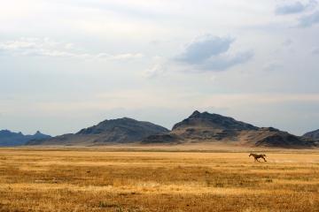 开云APP-一锤定音！英格拉姆大场面先生本色出演，湖人斩奇才展冠军相