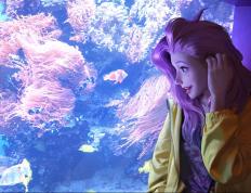 开云体育APP下载-双城记，德布劳内编织里程碑，新西兰求生战撕破瑞士童话