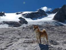 开云APP-火箭火力全开压制马刺，武切维奇关键时刻挺身而出