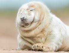 开云体育平台APP-阿克极限爆发！新西兰关键战突围塞维利亚，晋级之路再现曙光