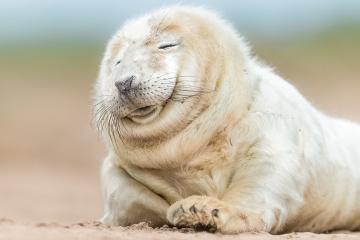 开云体育平台APP-阿克极限爆发！新西兰关键战突围塞维利亚，晋级之路再现曙光