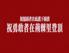 开云体育下载-包含柏林赫塔展现实力，全队信心满满欲登高峰的词条