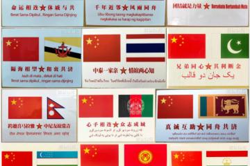 开云体育在线-文莱击败巴基斯坦获得乒乓球金牌
