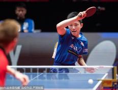 开云体育登录-德国乒乓球队轻取韩国乒乓球队，水谷隼爆发神勇的简单介绍