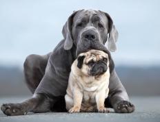 开云体育在线-一枪终结埃及王朝，巴雷拉在奥运生死战中接管比赛