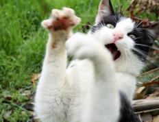 开云体育app-连续得分制胜，深圳队压制老鹰，詹姆斯关键节点显神威