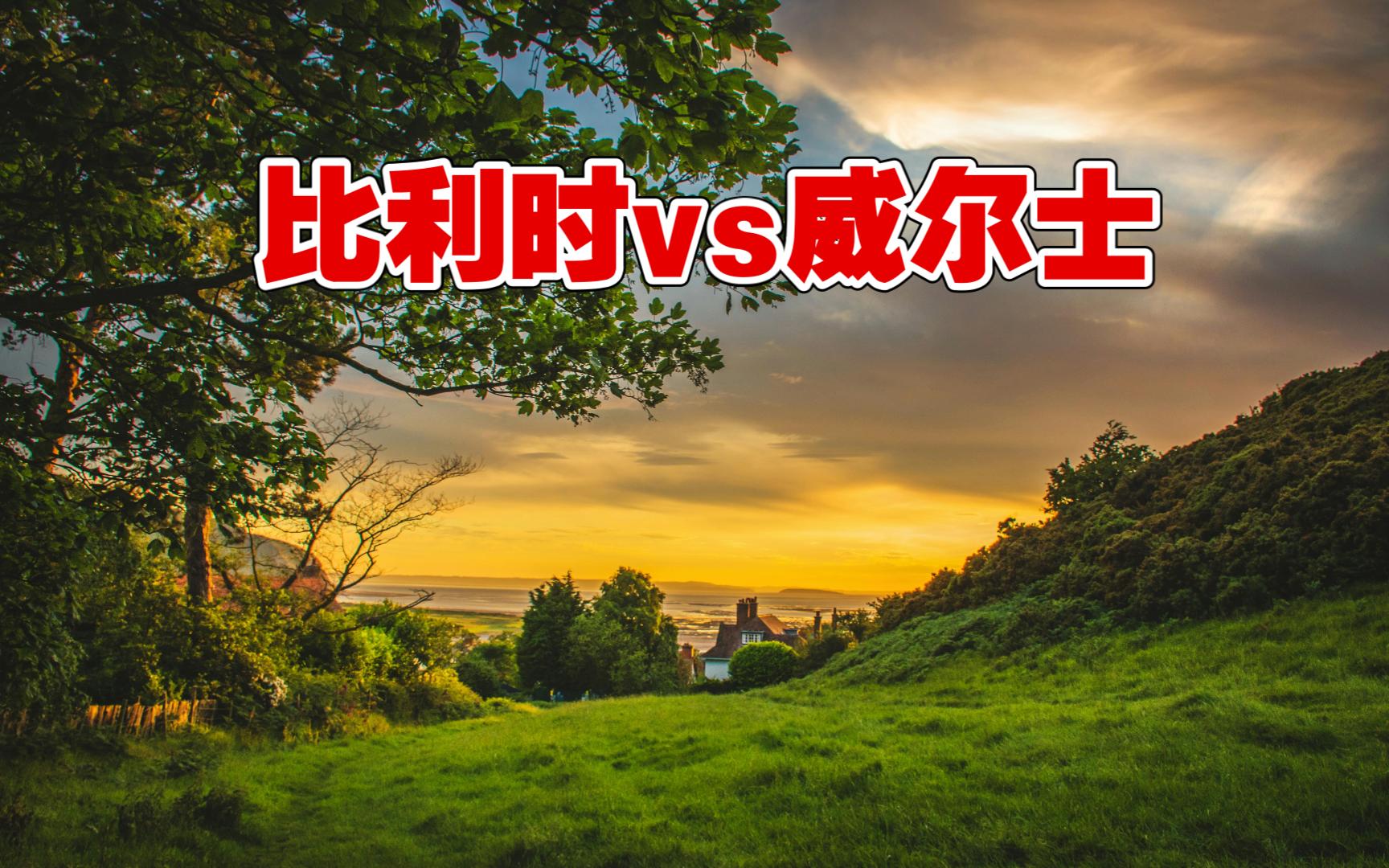 开云体育-飞翔之威尔士，闯入欧预赛战场的简单介绍