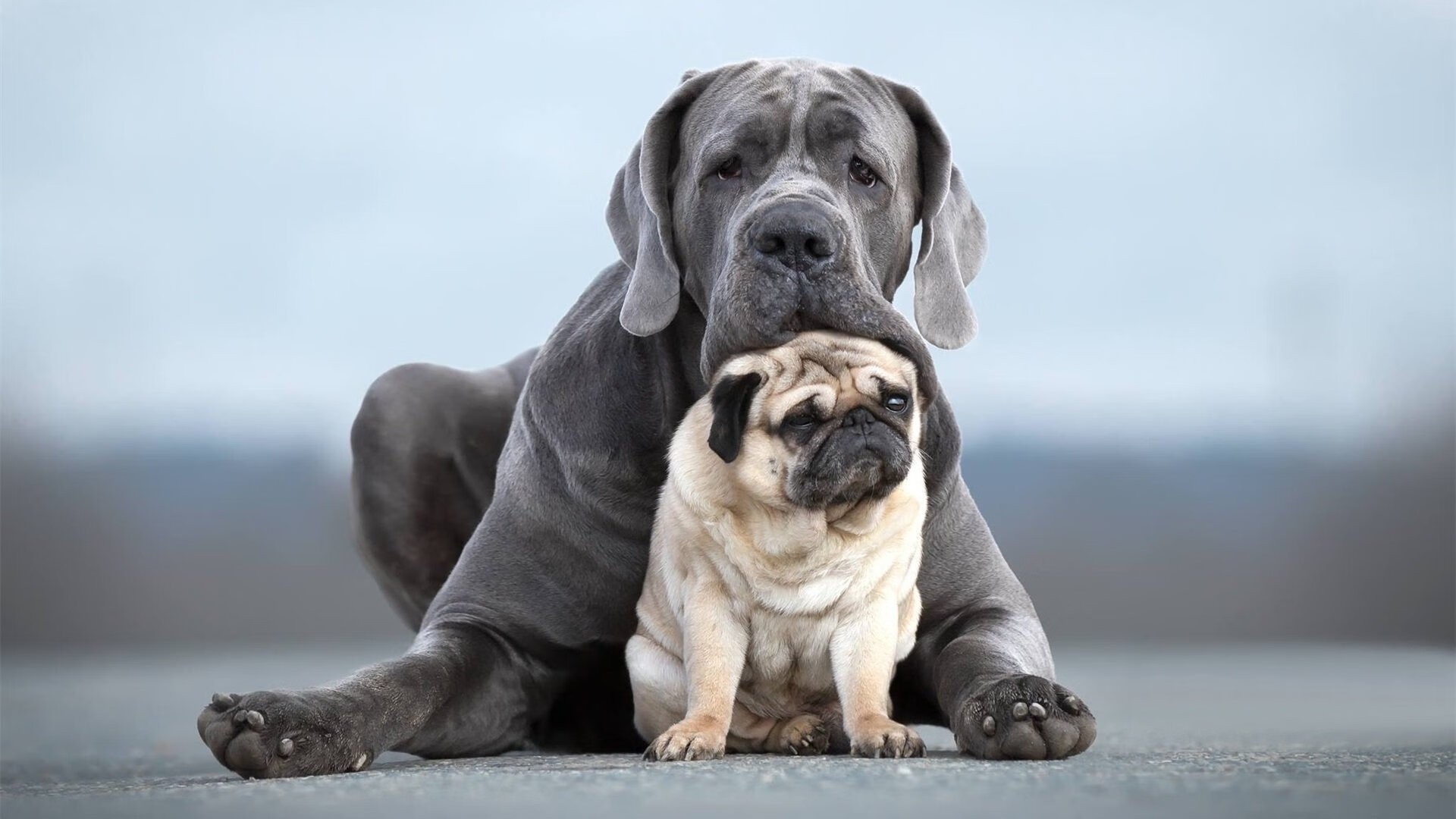开云体育在线-一枪终结埃及王朝，巴雷拉在奥运生死战中接管比赛