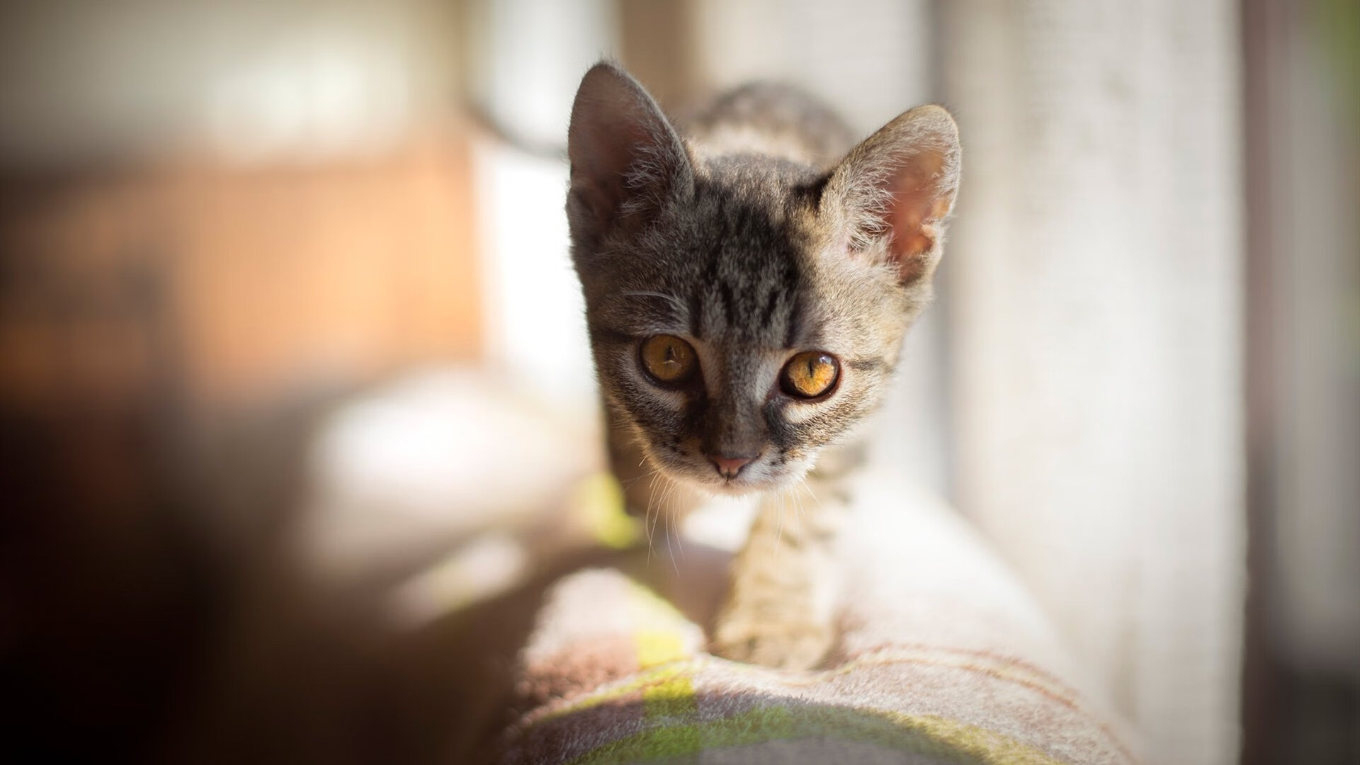 开云体育下载-休斯敦洪流与金州利刃，当体系压制遇见无解单打