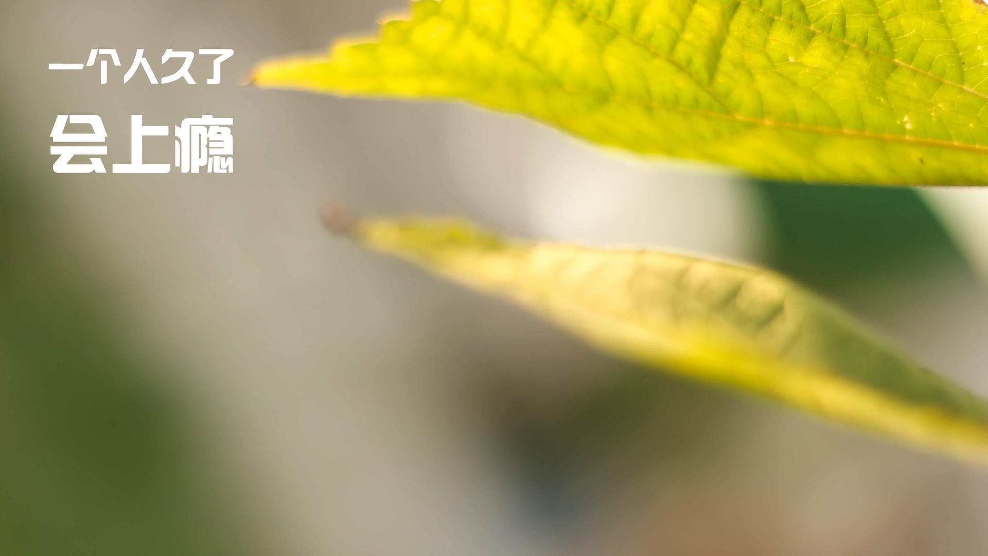 开云体育官方网站-孙兴慜，雅典夜空最无解的利刃，南非防线集体绝望