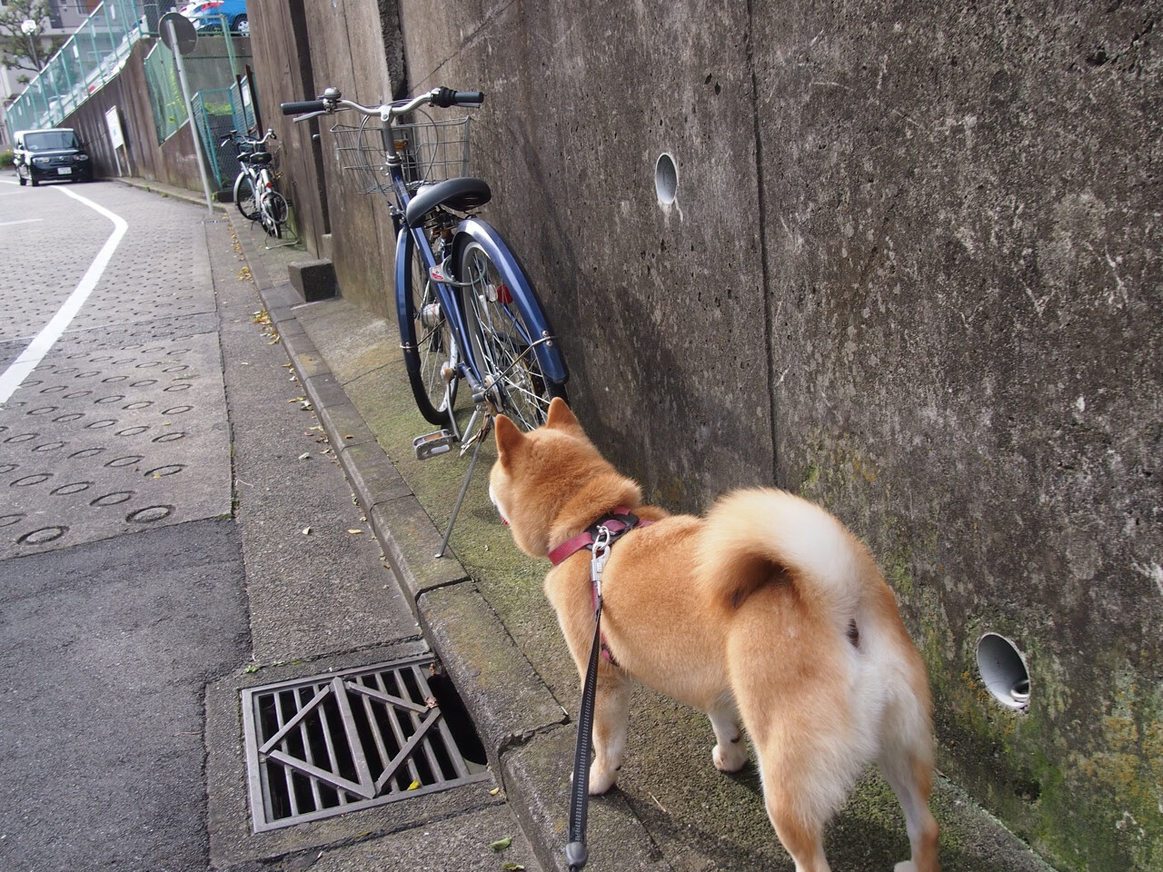 开云体育app-加维欧冠半决赛一战封神，摩纳哥客场带走毕尔巴鄂晋级