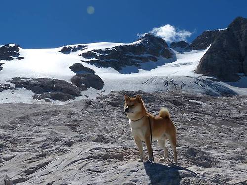 开云体育官方网站-当巨兽苏醒，欧冠之夜，哈兰德点燃的不只是赛场