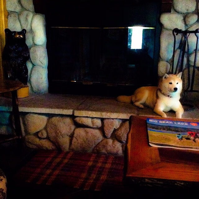 开云体育-极速轰鸣与篮下静默，当F1引擎唤醒另一种统治力