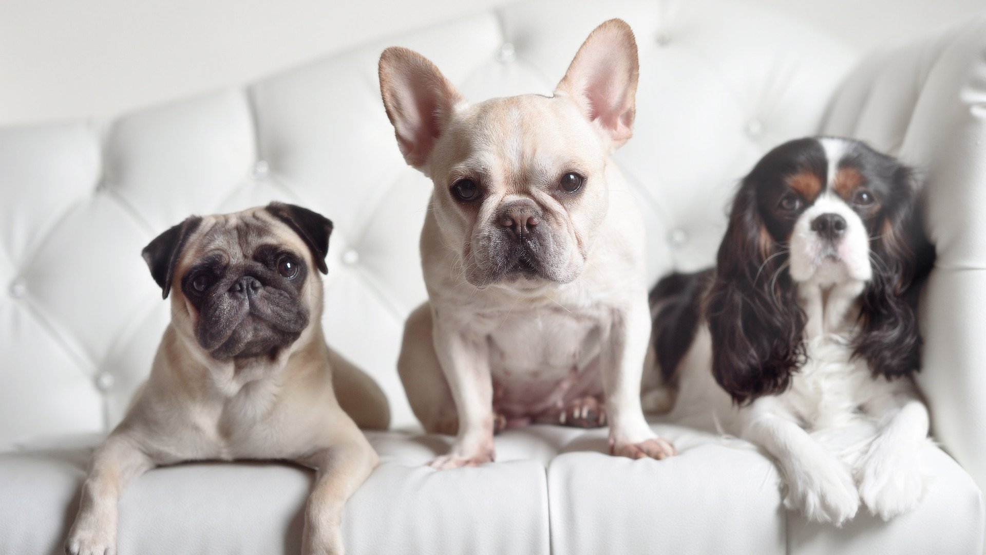 开云体育在线-绝杀之夜，体育场上的永恒瞬间