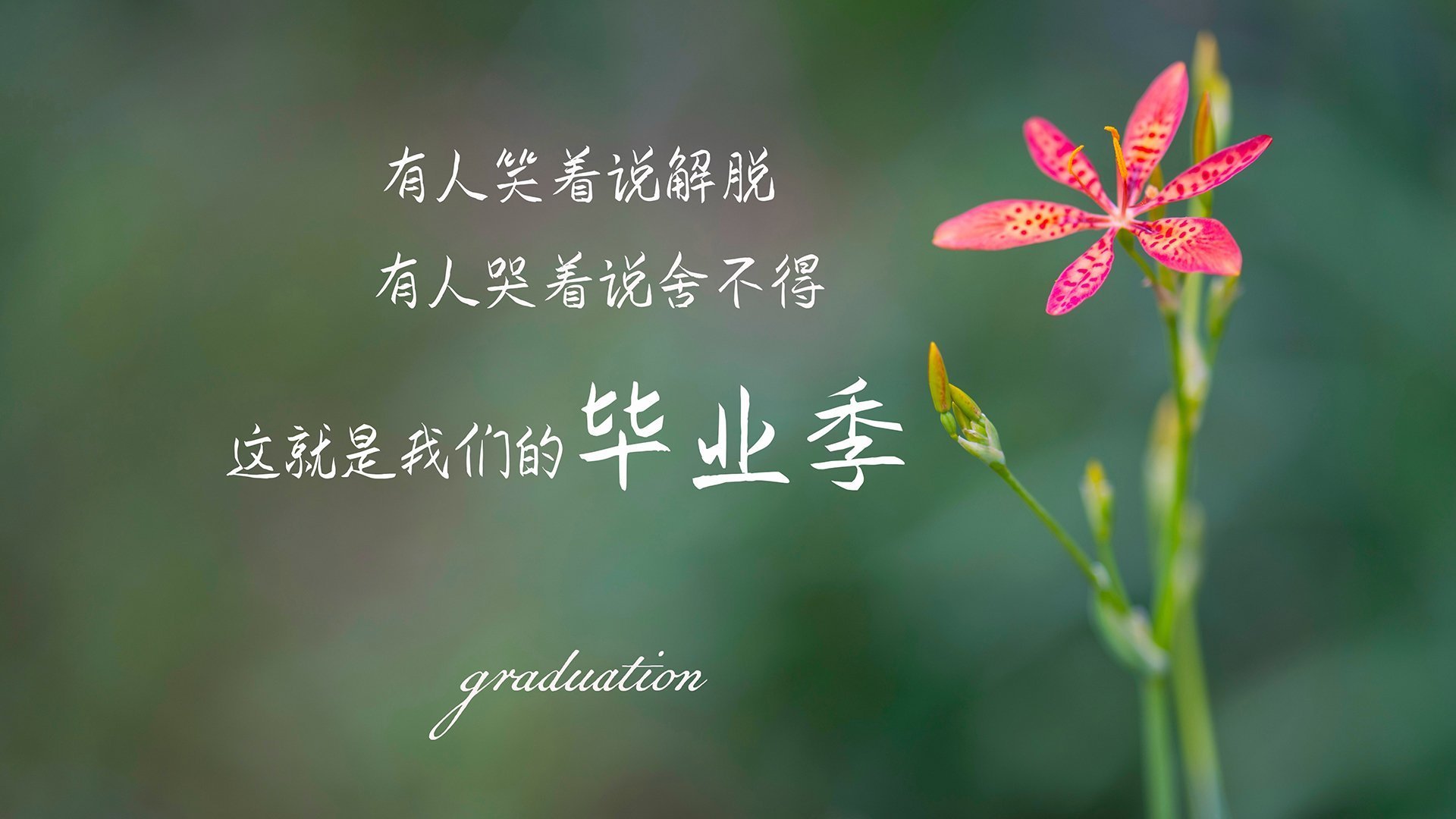 开云体育登录-风暴眼与破碎者，武切维奇的统治力与雷霆的毁灭美学