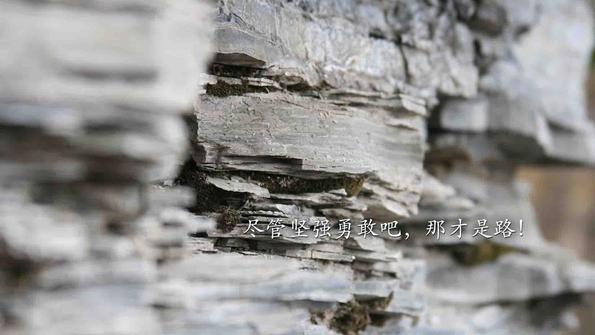 开云体育下载-压力铸就辉煌,卢卡库爆发引领德国战车击败巴黎圣日耳曼