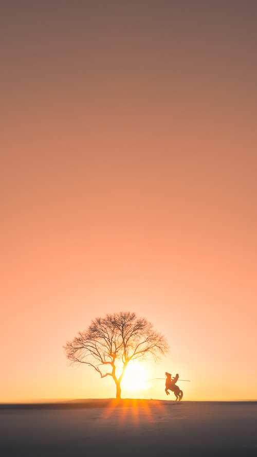 开云APP-抢七之夜的终结者,小贾伦·杰克逊让比赛悬念提前落幕