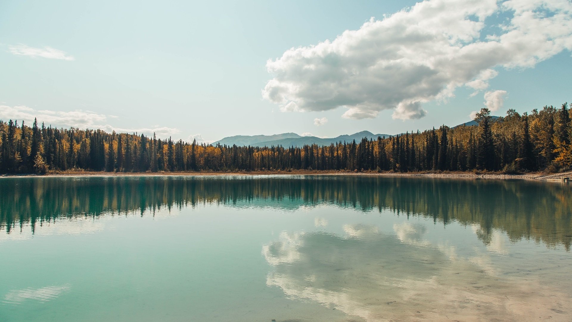 开云体育下载-终局接管者，西亚卡姆亲手打碎黄蜂主场奇迹，太阳扼住命运咽喉