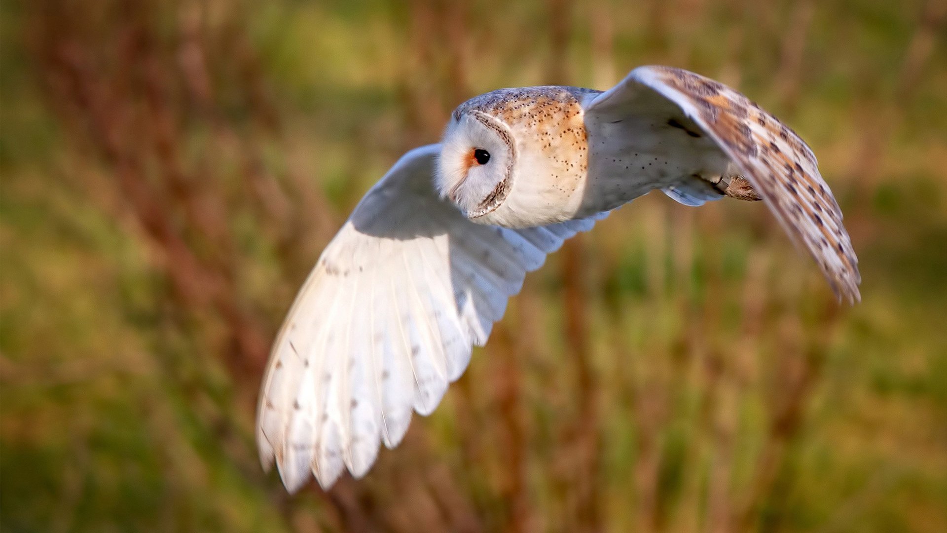 开云体育下载-篮网血拼活塞！伦纳德末节封神斩获40分，死亡缠绕锁死状元康宁汉姆