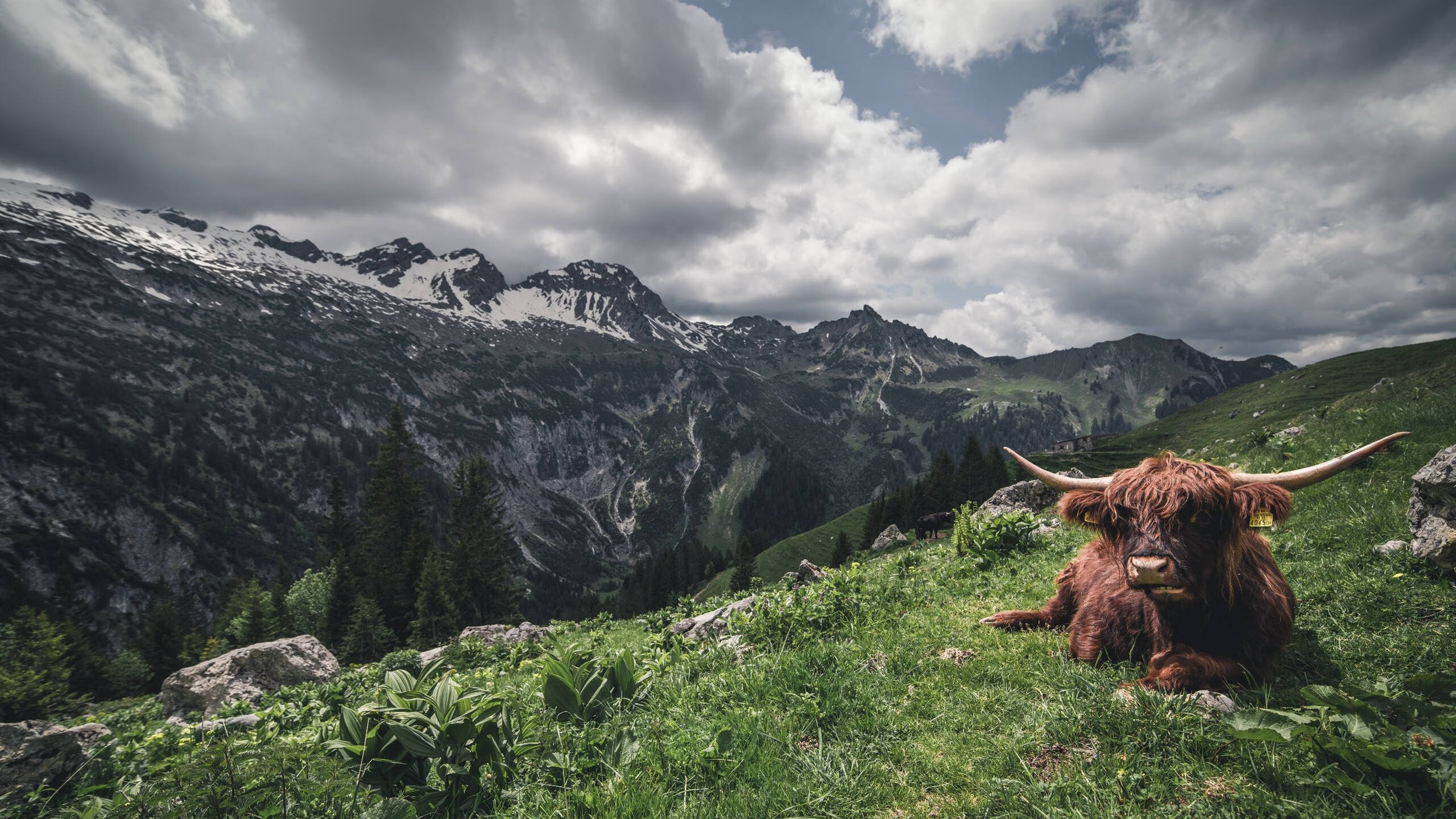 开云体育官网-武切维奇砍生涯新高52分,篮网加时险胜马刺