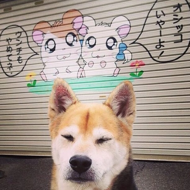 开云体育登录-哈利伯顿冷静绝杀！雷霆末节逆转热火，惊险守住主场