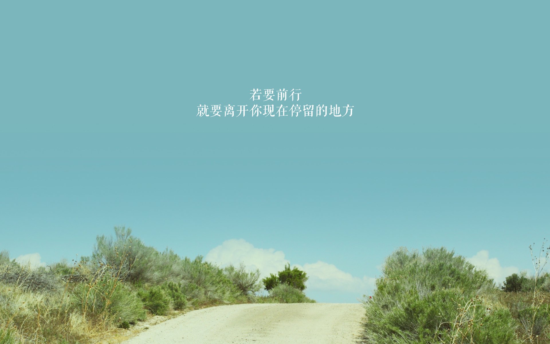 开云体育官方网站-文班亚马，攻防转换的核心，森林狼与掘金的战术迷宫