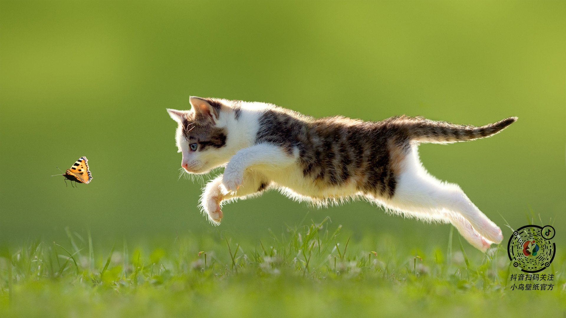 开云体育官网-布伦森化身纽约之王，一人肢解深圳队钢铁防线！