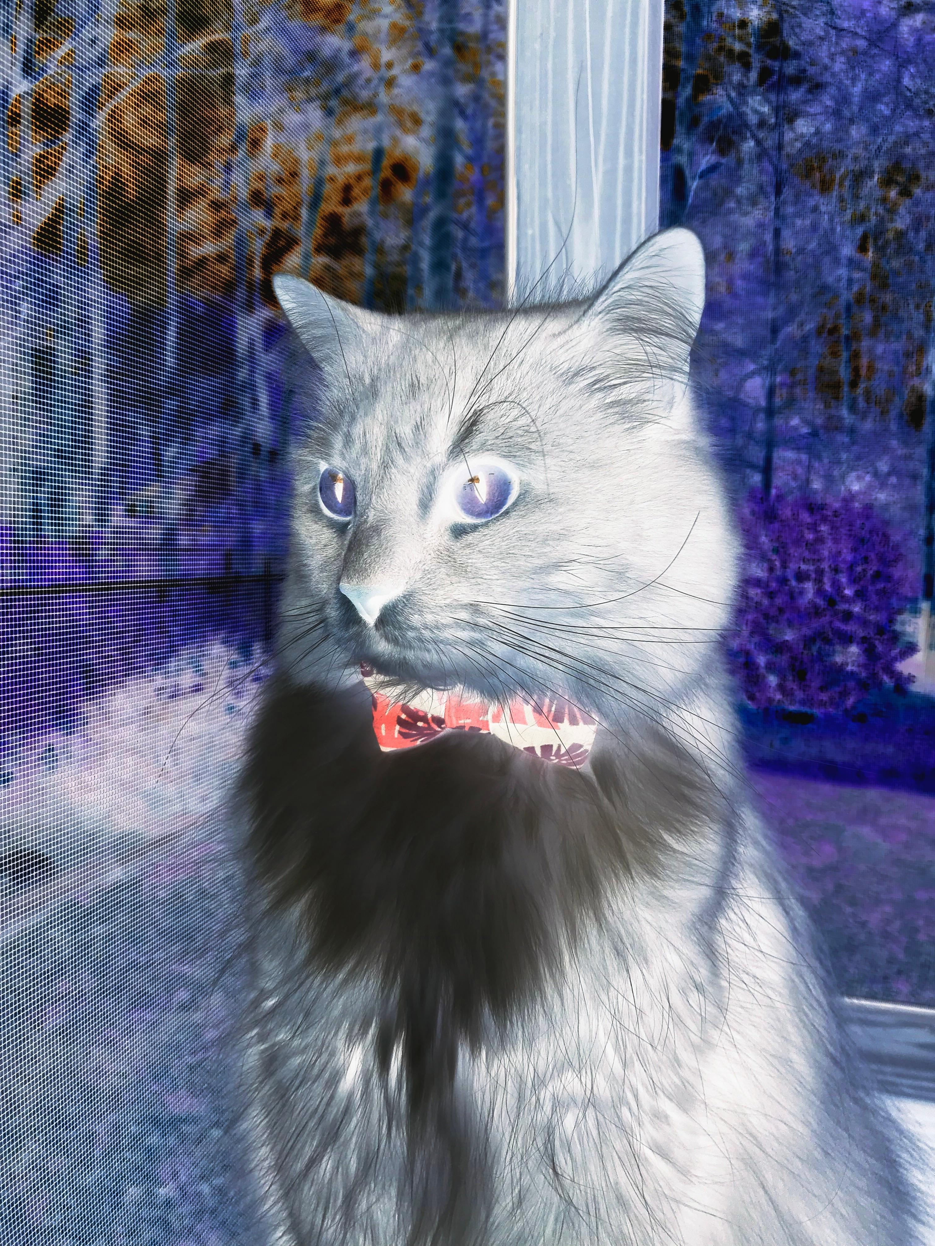 开云下载-血战加时！尼日利亚惊险取胜马里，非洲篮球巅峰对决震撼上演