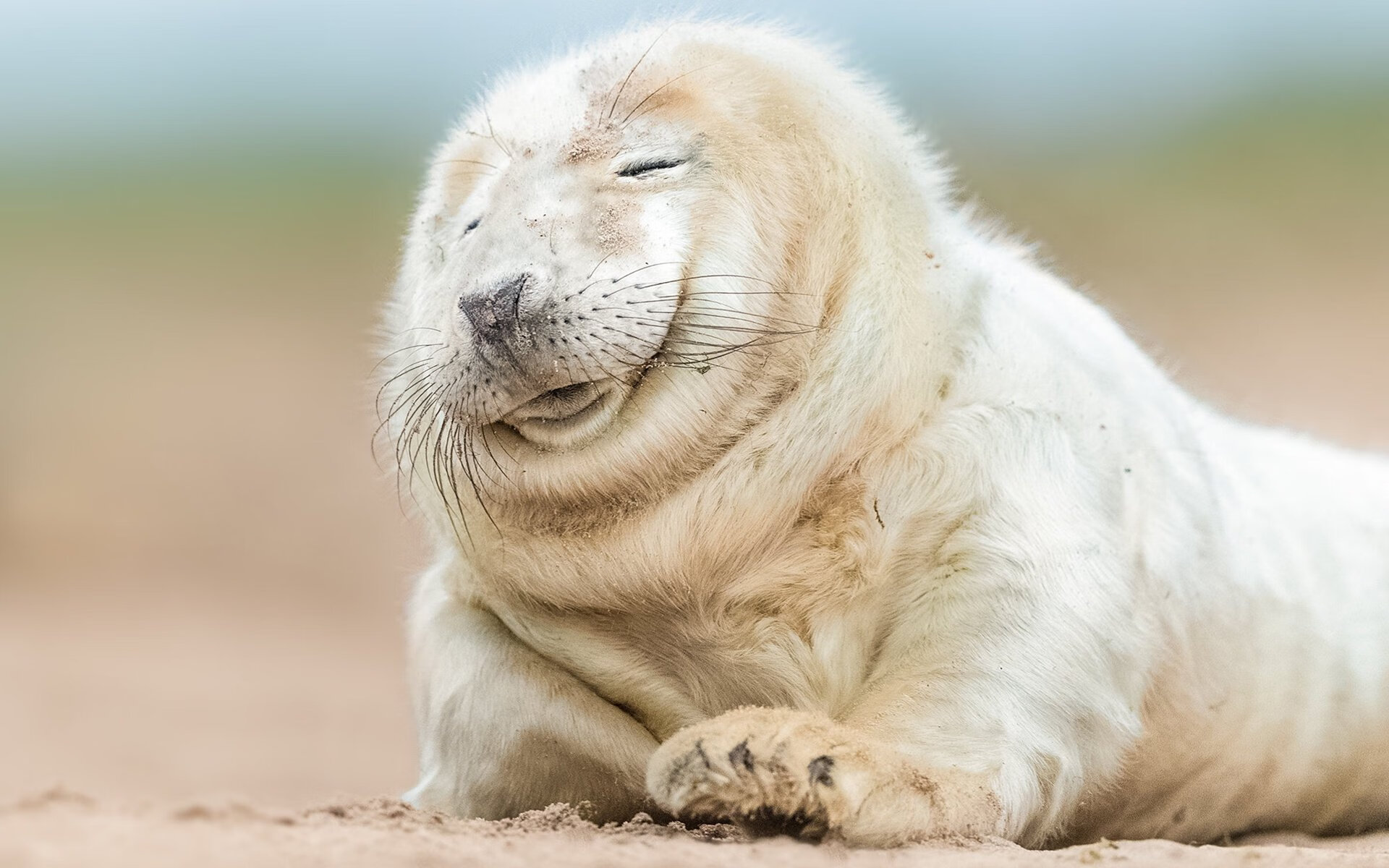 开云体育平台APP-阿克极限爆发！新西兰关键战突围塞维利亚，晋级之路再现曙光