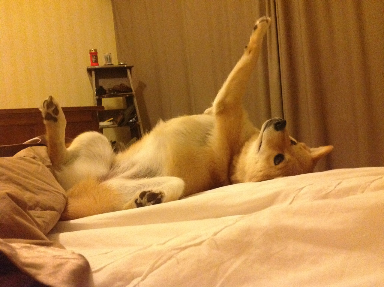 开云体育app-法比尼奥冠军级表现闪耀中场，埃及硬仗中坚韧取胜牙买加